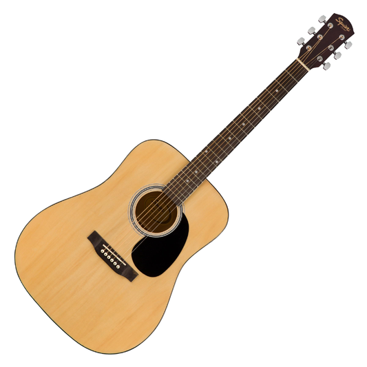 Professional Acoustic Guitar
